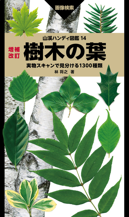 山溪ハンディ図鑑 14 増補改訂 樹木の葉 実物スキャンで見分ける1300