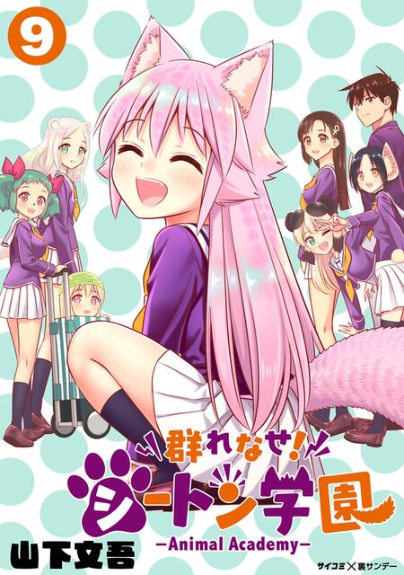 キュピコ！～ふしまつ天使のミスマネージメント～ | dアニメストア