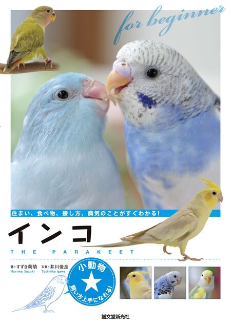 漫画で楽しむ！だからやめられないインコ生活 | dアニメストア