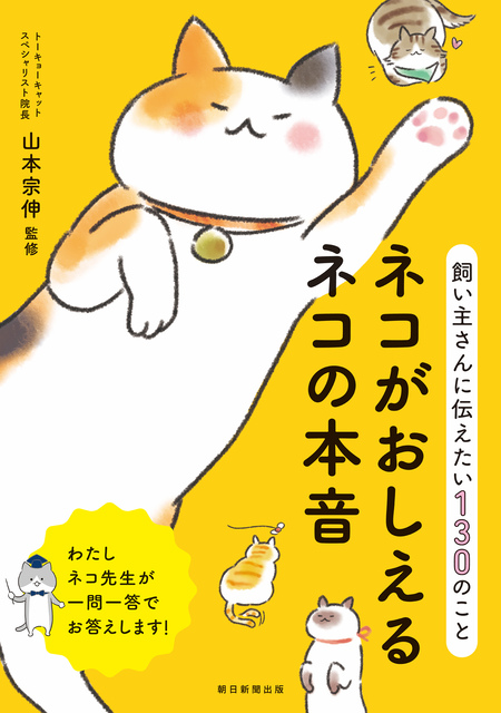 はじめてでも安心！幸せに暮らす猫の飼い方 | dアニメストア