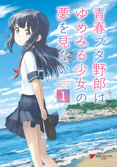 青春ブタ野郎はゆめみる少女の夢を見ない | アニメ動画見放題