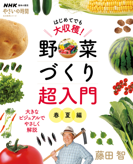 ＮＨＫ趣味の園芸 やさいの時間 はじめてでも大収穫！ 野菜づくり超