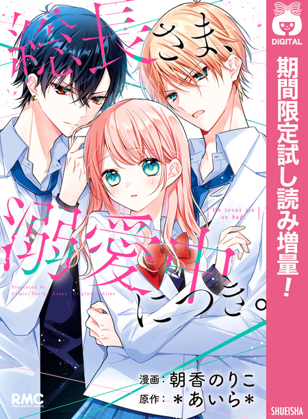 総長さま、溺愛中につき。11.5 最強男子たちの本音 | dアニメストア