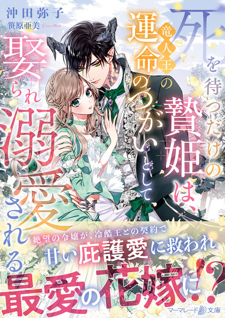 養蜂家と蜜薬師の花嫁 | dアニメストア